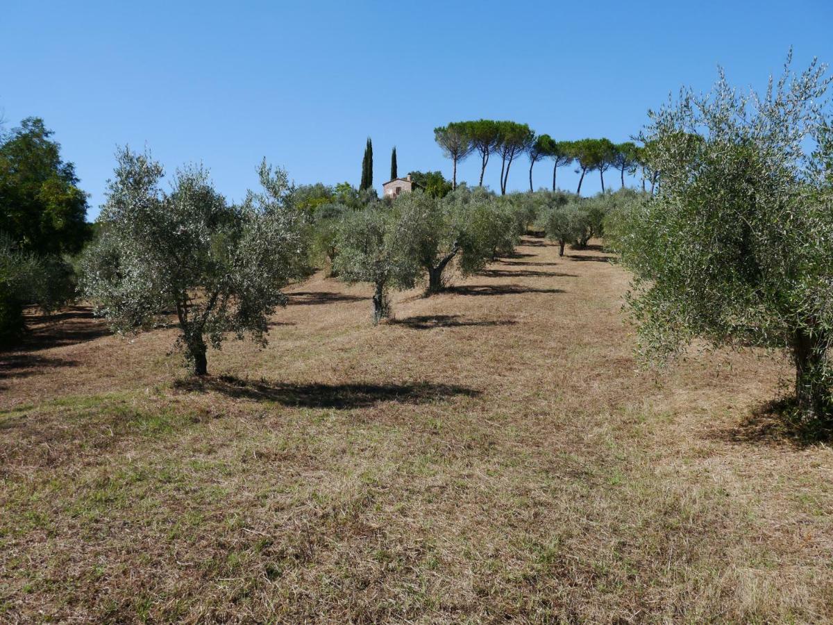 Ferienhaus Il-Pino Villa Roccastrada Exterior foto