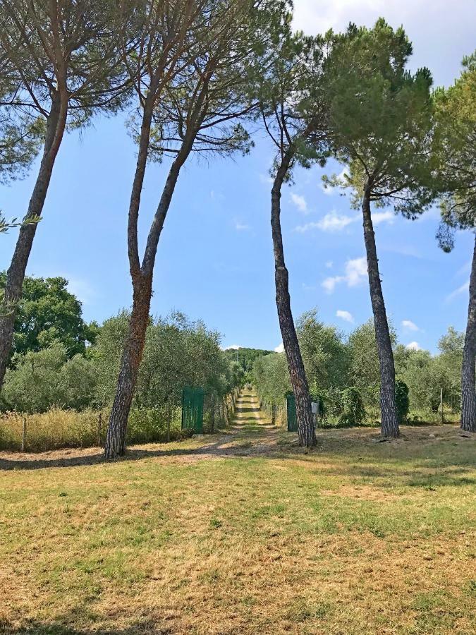 Ferienhaus Il-Pino Villa Roccastrada Exterior foto